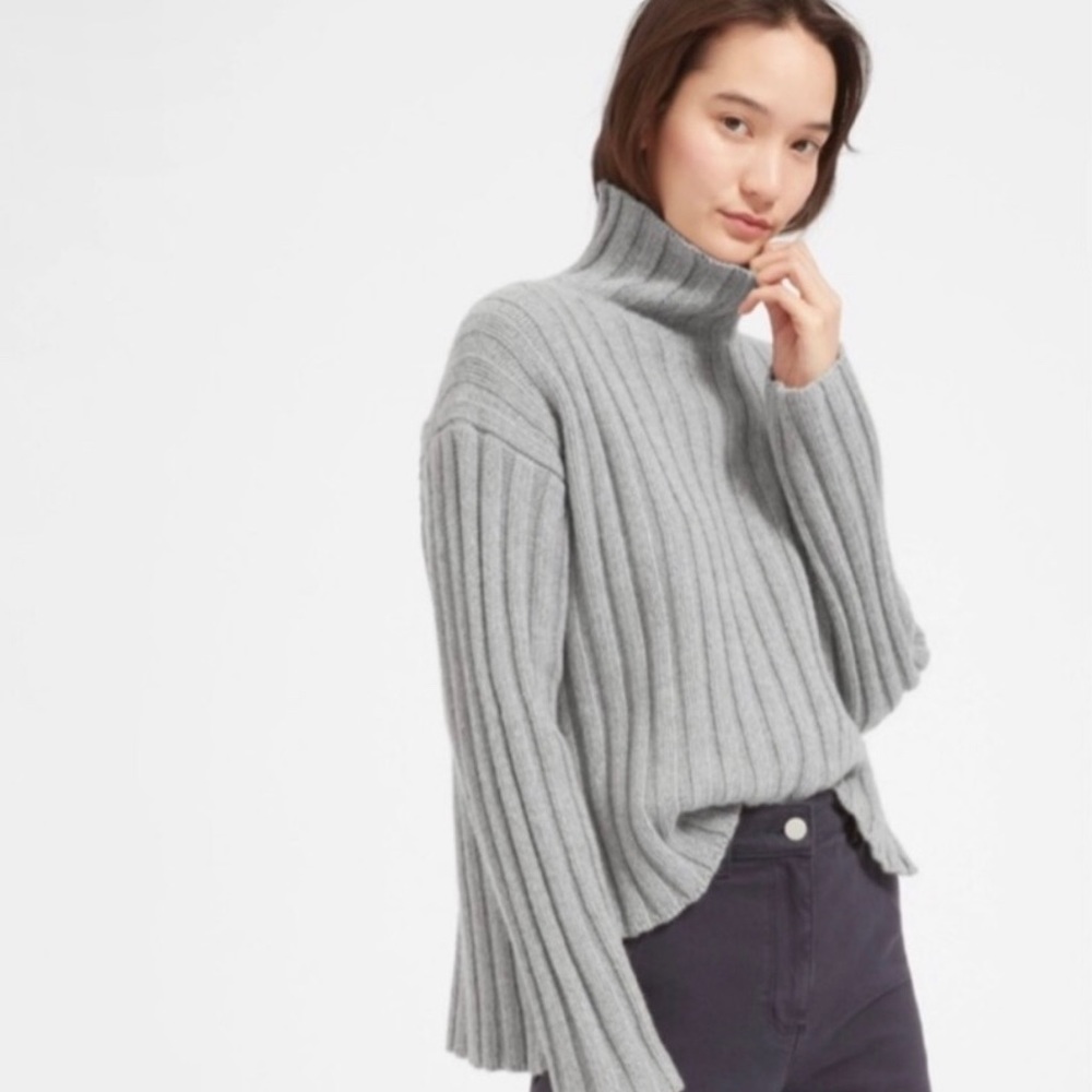Everlane wool turtleneck sweater